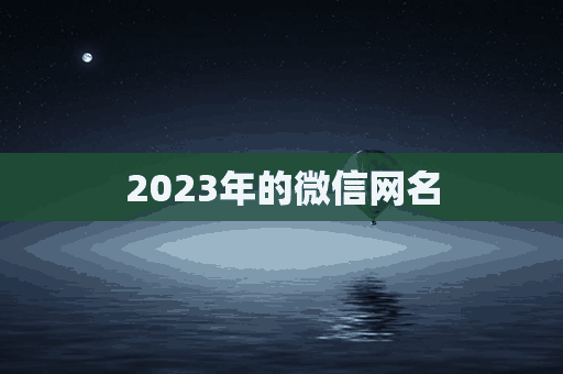 2023年的微信网名(2023年的微信网名女)